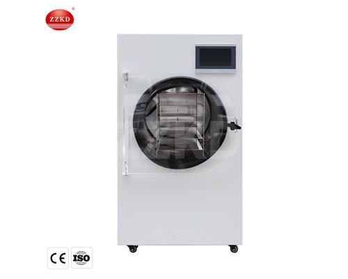 FD 10H Small Freeze Dryer for Home Use