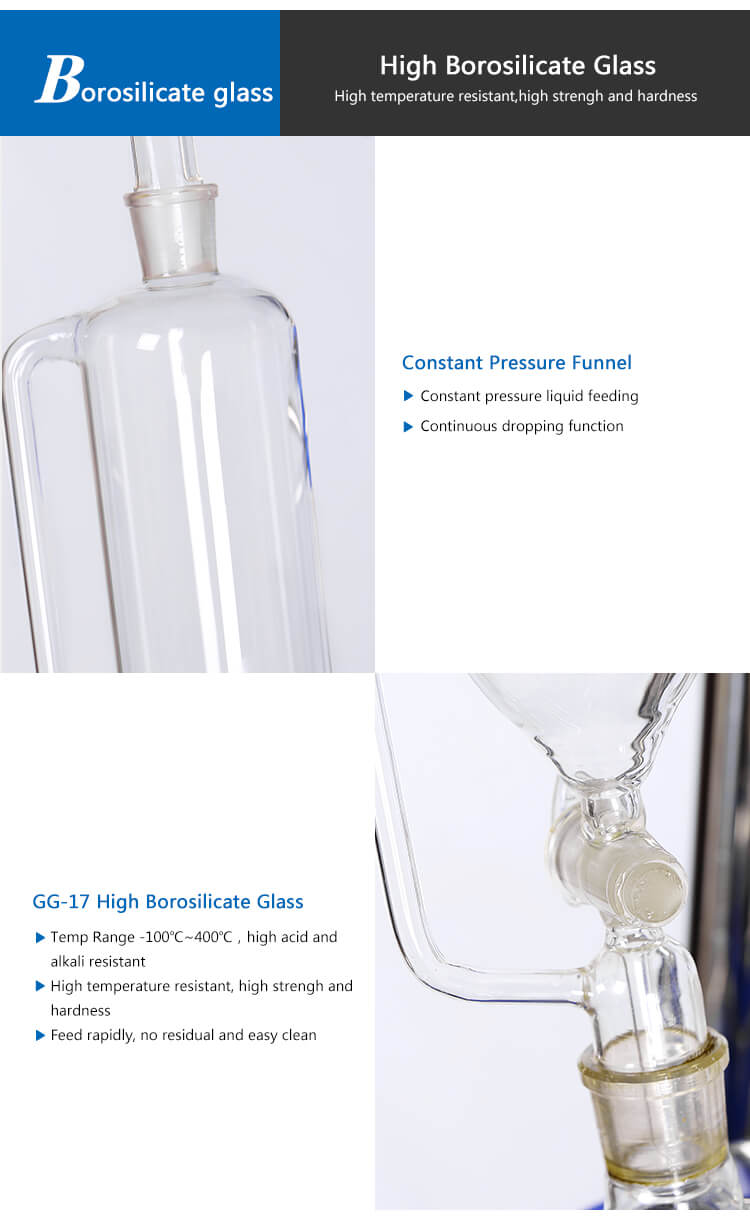 Laboratory Glass Reactor Detail
