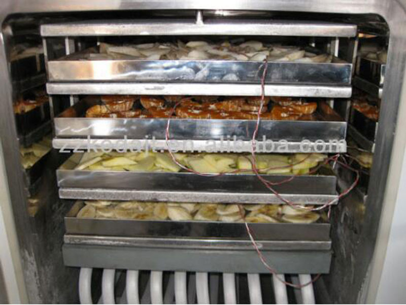 vacuum oven dzf 6020 case