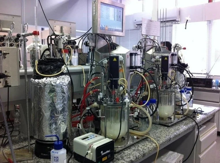 Optimizing Ethanol Production Using a Pilot Plant Glass Reactor