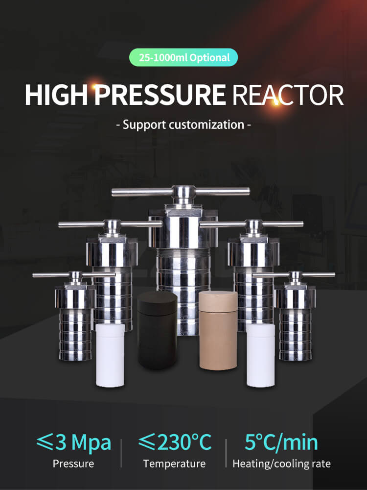High Pressure Polyethylene Reactor