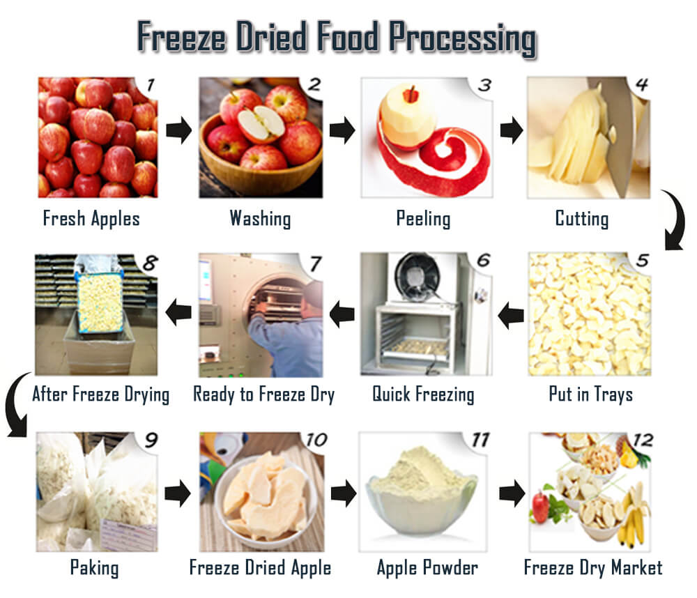 Diagram showing freeze drying fruit process steps